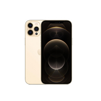 iPhone 12 Pro Max 256 GB