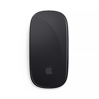 Apple Magic Mouse 2 | COLOR AVAILABLE – Black and Space Gray