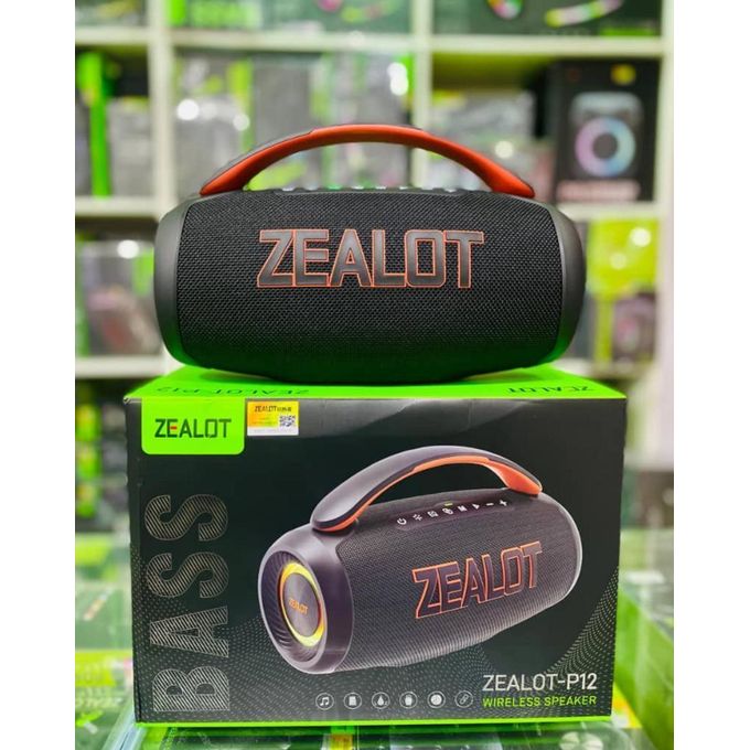 ZEALOT P12 High Power Outdoor Speaker - Angle 2