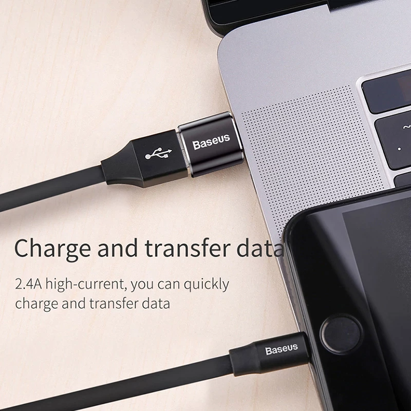 Baseus CATOTG-01 C female to USB Male Adapter - Image 2