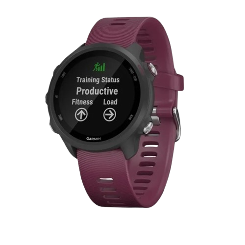 Garmin Forerunner 245