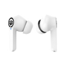 Wicked Audio Mojo 300 Earbuds